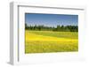 Fields at Varska, Estonia, Baltic States, Europe-Nico Tondini-Framed Premium Photographic Print