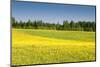 Fields at Varska, Estonia, Baltic States, Europe-Nico Tondini-Mounted Premium Photographic Print