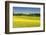 Fields at Varska, Estonia, Baltic States, Europe-Nico Tondini-Framed Photographic Print