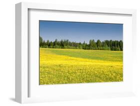 Fields at Varska, Estonia, Baltic States, Europe-Nico Tondini-Framed Photographic Print