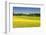 Fields at Varska, Estonia, Baltic States, Europe-Nico Tondini-Framed Photographic Print