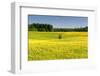 Fields at Varska, Estonia, Baltic States-Nico Tondini-Framed Photographic Print