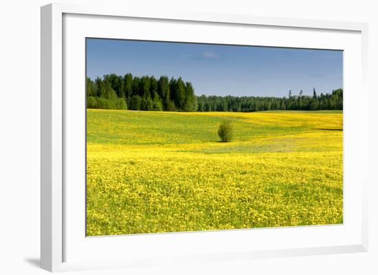 Fields at Varska, Estonia, Baltic States-Nico Tondini-Framed Photographic Print