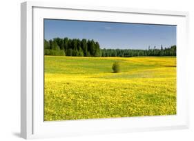 Fields at Varska, Estonia, Baltic States-Nico Tondini-Framed Photographic Print