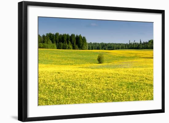 Fields at Varska, Estonia, Baltic States-Nico Tondini-Framed Photographic Print