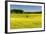 Fields at Varska, Estonia, Baltic States-Nico Tondini-Framed Photographic Print