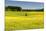 Fields at Varska, Estonia, Baltic States-Nico Tondini-Mounted Photographic Print