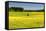 Fields at Varska, Estonia, Baltic States-Nico Tondini-Framed Stretched Canvas