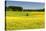 Fields at Varska, Estonia, Baltic States-Nico Tondini-Stretched Canvas