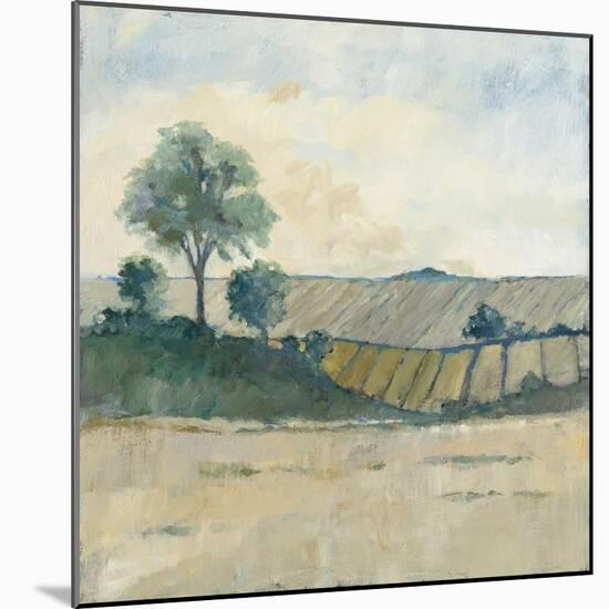 Fields before the Storm-Avery Tillmon-Mounted Art Print