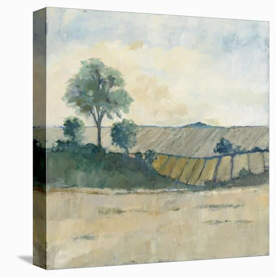 Fields before the Storm-Avery Tillmon-Stretched Canvas
