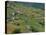 Fields, Farms and Houses in the Navia Valley, in Asturias, Spain, Europe-Maxwell Duncan-Stretched Canvas