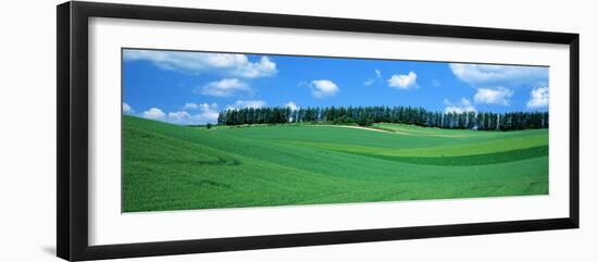 Fields Hokkaido Japan-null-Framed Photographic Print