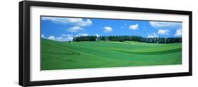 Fields Hokkaido Japan-null-Framed Photographic Print