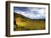 Fields in Afternoon Sun-Nish Nalbandian-Framed Art Print