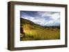 Fields in Afternoon Sun-Nish Nalbandian-Framed Art Print