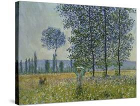 Fields in Spring, 1887-Claude Monet-Stretched Canvas