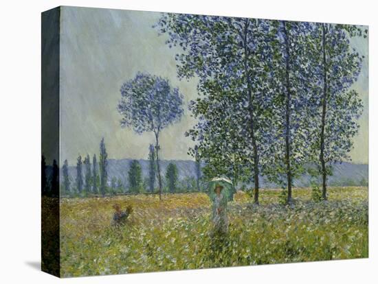 Fields in Spring, 1887-Claude Monet-Stretched Canvas