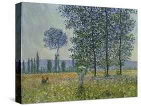 Fields in Spring, 1887-Claude Monet-Stretched Canvas