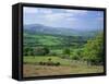 Fields in the Valleys Near Brecon, Powys, Wales, UK, Europe-Roy Rainford-Framed Stretched Canvas