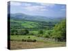 Fields in the Valleys Near Brecon, Powys, Wales, UK, Europe-Roy Rainford-Stretched Canvas