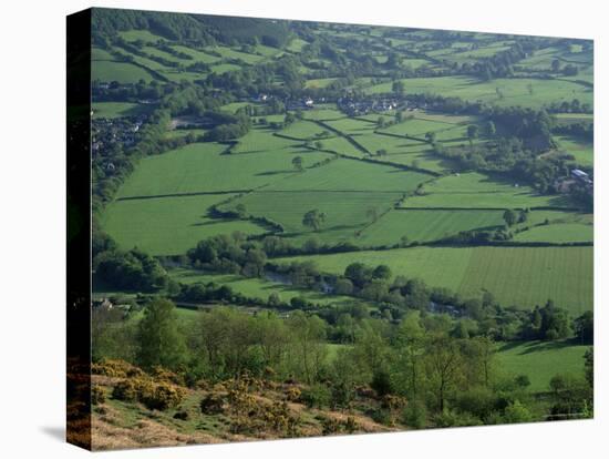 Fields in the Valleys, Near Brecon, Powys, Wales, United Kingdom-Roy Rainford-Stretched Canvas