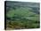 Fields in the Valleys, Near Brecon, Powys, Wales, United Kingdom-Roy Rainford-Stretched Canvas