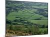 Fields in the Valleys, Near Brecon, Powys, Wales, United Kingdom-Roy Rainford-Mounted Photographic Print