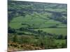 Fields in the Valleys, Near Brecon, Powys, Wales, United Kingdom-Roy Rainford-Mounted Photographic Print