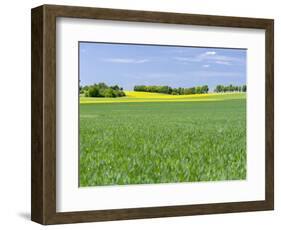 Fields in Thuringia near towns of Muehlhausen and Weberstedt, Germany.-Martin Zwick-Framed Photographic Print