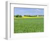 Fields in Thuringia near towns of Muehlhausen and Weberstedt, Germany.-Martin Zwick-Framed Photographic Print