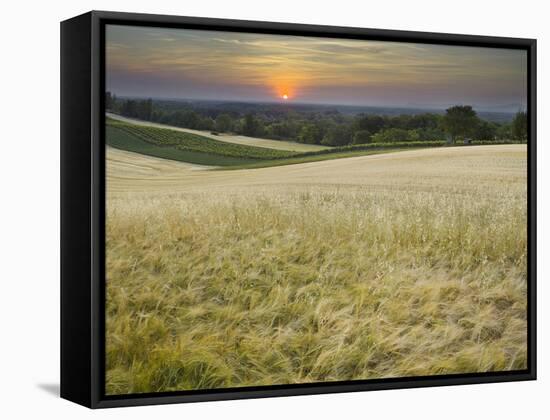 Fields Near Angern an Der March, Marchfeld, Lower Austria, Austria-Rainer Mirau-Framed Stretched Canvas