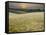 Fields Near Angern an Der March, Marchfeld, Lower Austria, Austria-Rainer Mirau-Framed Stretched Canvas