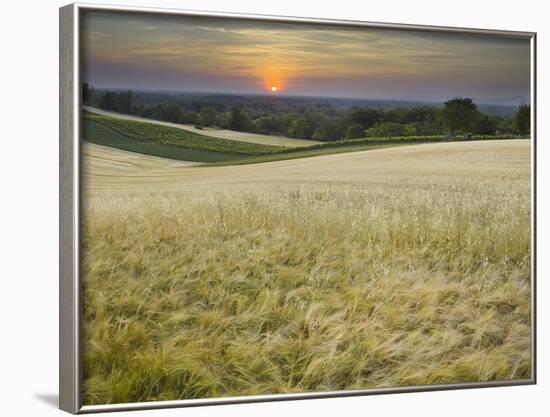 Fields Near Angern an Der March, Marchfeld, Lower Austria, Austria-Rainer Mirau-Framed Photographic Print