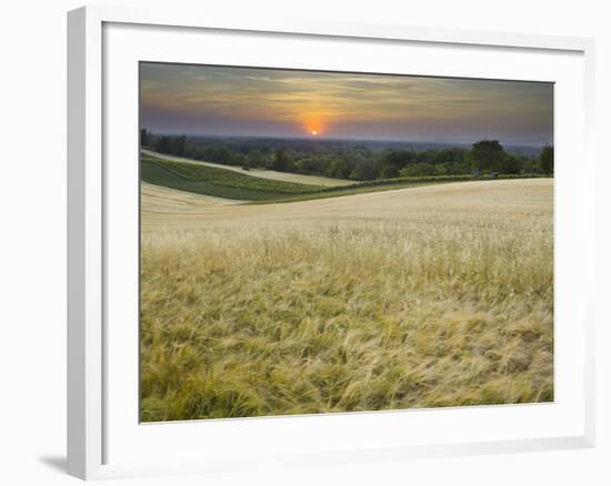 Fields Near Angern an Der March, Marchfeld, Lower Austria, Austria-Rainer Mirau-Framed Photographic Print