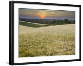 Fields Near Angern an Der March, Marchfeld, Lower Austria, Austria-Rainer Mirau-Framed Photographic Print