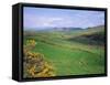 Fields Near Dingle, Co. Kerry, Ireland/Eire-Roy Rainford-Framed Stretched Canvas