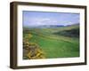 Fields Near Dingle, Co. Kerry, Ireland/Eire-Roy Rainford-Framed Photographic Print