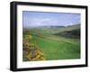 Fields Near Dingle, Co. Kerry, Ireland/Eire-Roy Rainford-Framed Photographic Print