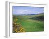 Fields Near Dingle, Co. Kerry, Ireland/Eire-Roy Rainford-Framed Photographic Print