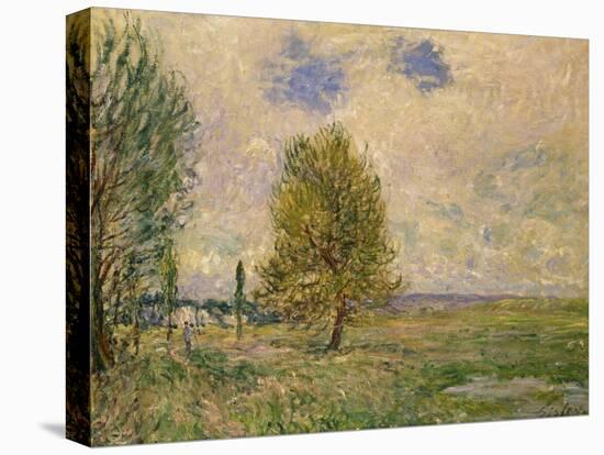 Fields Near Veneux-Nadon, 1881-Alfred Sisley-Stretched Canvas