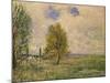 Fields Near Veneux-Nadon, 1881-Alfred Sisley-Mounted Giclee Print