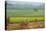 Fields Near Village on the Bank of the Hooghly River, West Bengal, India, Asia-Bruno Morandi-Stretched Canvas