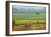 Fields Near Village on the Bank of the Hooghly River, West Bengal, India, Asia-Bruno Morandi-Framed Photographic Print