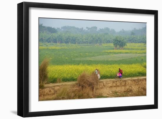 Fields Near Village on the Bank of the Hooghly River, West Bengal, India, Asia-Bruno Morandi-Framed Photographic Print