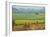 Fields Near Village on the Bank of the Hooghly River, West Bengal, India, Asia-Bruno Morandi-Framed Photographic Print