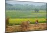 Fields Near Village on the Bank of the Hooghly River, West Bengal, India, Asia-Bruno Morandi-Mounted Photographic Print