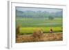 Fields Near Village on the Bank of the Hooghly River, West Bengal, India, Asia-Bruno Morandi-Framed Photographic Print