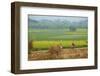 Fields Near Village on the Bank of the Hooghly River, West Bengal, India, Asia-Bruno Morandi-Framed Photographic Print