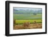 Fields Near Village on the Bank of the Hooghly River, West Bengal, India, Asia-Bruno Morandi-Framed Photographic Print